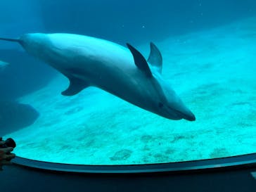 名古屋港水族館に投稿された画像（2022/4/29）