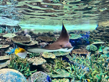 名古屋港水族館に投稿された画像（2022/4/29）