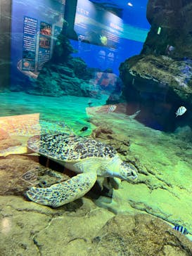名古屋港水族館に投稿された画像（2022/4/29）