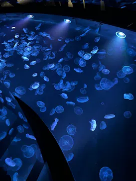 すみだ水族館に投稿された画像（2022/4/29）