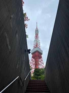 東京タワーに投稿された画像（2022/4/29）