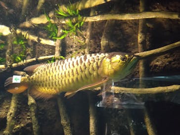 サンシャイン水族館に投稿された画像（2022/4/30）