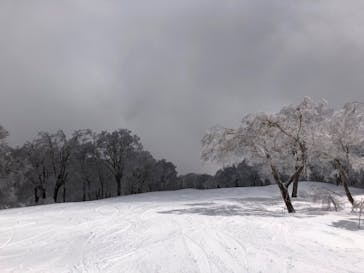 野沢温泉スキー場に投稿された画像（2022/4/30）