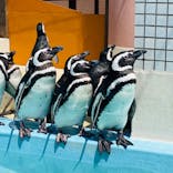 株式会社Gに投稿された画像（2022/4/30）