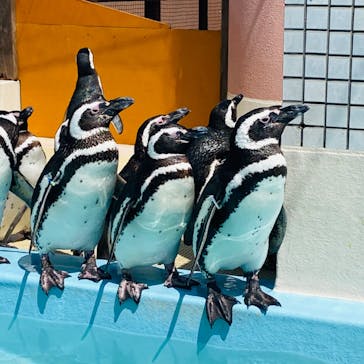 株式会社Gに投稿された画像（2022/4/30）