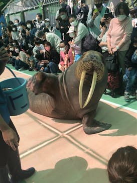 ゼロ距離水族館 伊勢シーパラダイスに投稿された画像（2022/4/30）