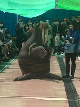 ゼロ距離水族館 伊勢シーパラダイスに投稿された画像（2022/4/30）