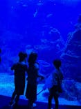 京都水族館に投稿された画像（2022/4/30）