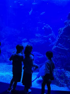 京都水族館に投稿された画像（2022/4/30）