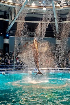 マクセル アクアパーク品川に投稿された画像（2022/4/30）