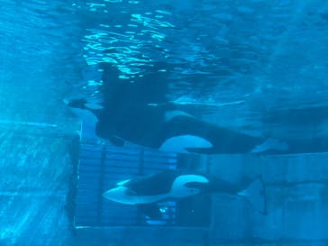 名古屋港水族館に投稿された画像（2022/4/30）