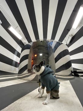 清津峡渓谷トンネルに投稿された画像（2022/4/30）