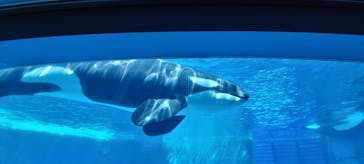 名古屋港水族館に投稿された画像（2022/4/30）