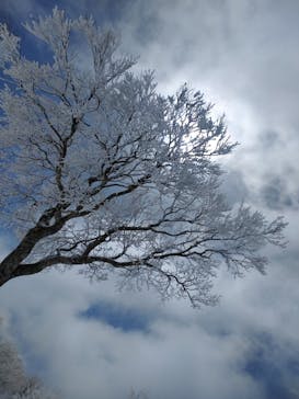 野沢温泉スキー場に投稿された画像（2022/4/30）