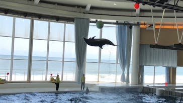 アクアワールド茨城県大洗水族館に投稿された画像（2022/4/30）