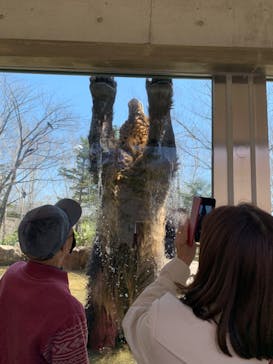 サホロリゾート　ベア･マウンテンに投稿された画像（2022/4/30）