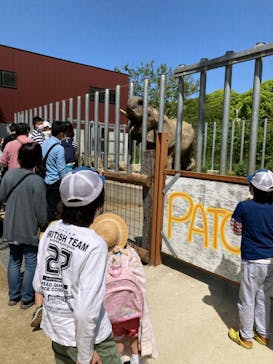 しろとり動物園に投稿された画像（2022/4/30）