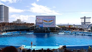 名古屋港水族館に投稿された画像（2022/4/30）
