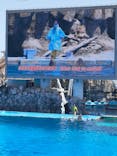 名古屋港水族館に投稿された画像（2022/4/30）