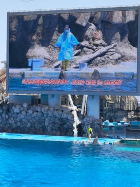 名古屋港水族館に投稿された画像（2022/4/30）