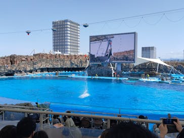 名古屋港水族館に投稿された画像（2022/4/30）