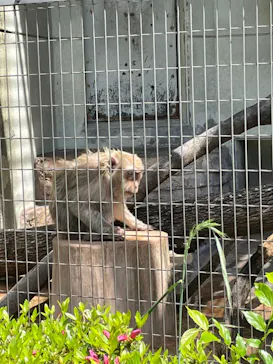 天王寺動物園に投稿された画像（2022/4/30）