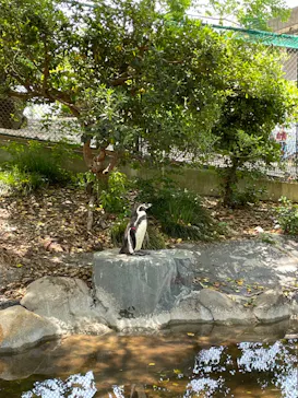 天王寺動物園に投稿された画像（2022/4/30）