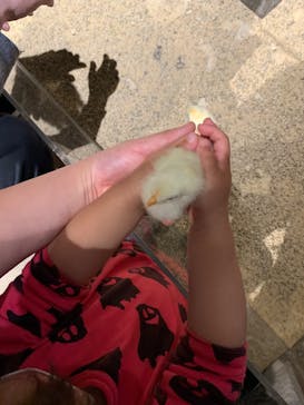 Moff animal world MARK IS みなとみらい店に投稿された画像（2022/4/30）