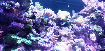 マクセル アクアパーク品川に投稿された画像（2022/4/30）