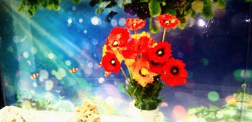 マクセル アクアパーク品川に投稿された画像（2022/4/30）