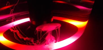 マクセル アクアパーク品川に投稿された画像（2022/4/30）