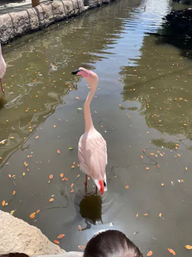 神戸どうぶつ王国に投稿された画像（2022/4/30）