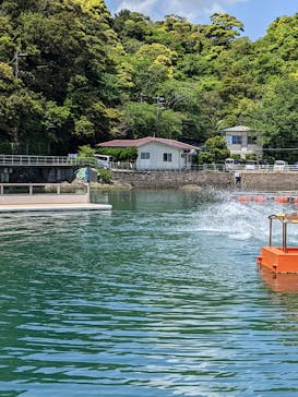 下田海中水族館に投稿された画像（2022/4/30）