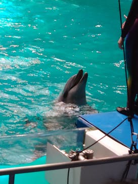 マクセル アクアパーク品川に投稿された画像（2022/4/30）