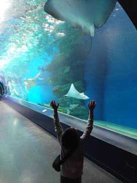 マクセル アクアパーク品川に投稿された画像（2022/4/30）