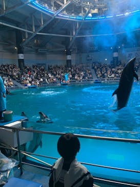 マクセル アクアパーク品川に投稿された画像（2022/4/30）