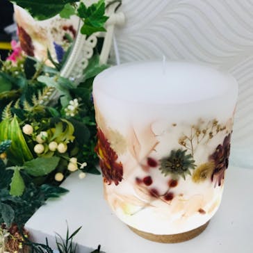 ずこうしつ〜sugamo〜に投稿された画像（2022/4/30）