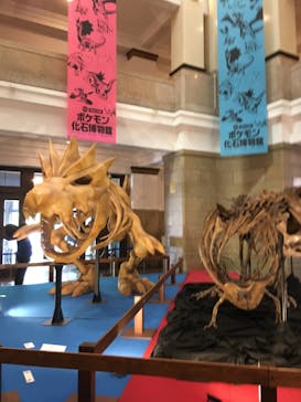 国立科学博物館　特別企画展「ポケモン化石博物館」に投稿された画像（2022/4/30）