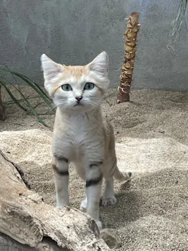 神戸どうぶつ王国に投稿された画像（2022/4/30）