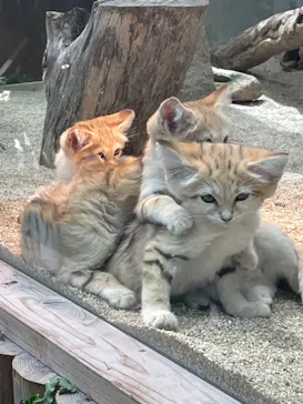 神戸どうぶつ王国に投稿された画像（2022/4/30）