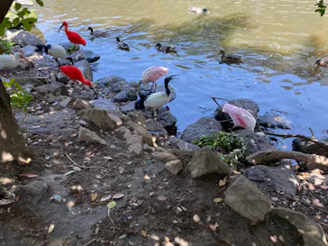 神戸どうぶつ王国に投稿された画像（2022/4/30）