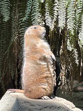 神戸どうぶつ王国に投稿された画像（2022/4/30）