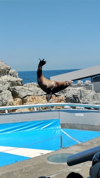 大分マリーンパレス水族館 「うみたまご」に投稿された画像（2022/4/30）
