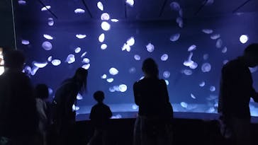 サンシャイン水族館に投稿された画像（2022/4/30）