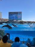 名古屋港水族館に投稿された画像（2022/4/30）