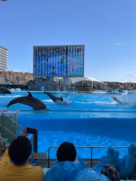 名古屋港水族館に投稿された画像（2022/4/30）