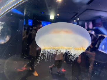 名古屋港水族館に投稿された画像（2022/4/30）