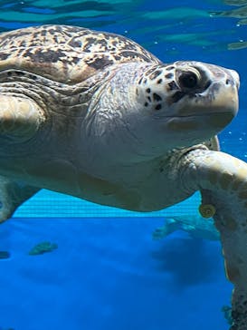 名古屋港水族館に投稿された画像（2022/4/30）