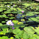 神戸どうぶつ王国に投稿された画像（2022/4/30）