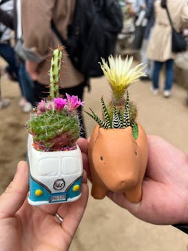 伊豆シャボテン動物公園に投稿された画像（2022/4/30）